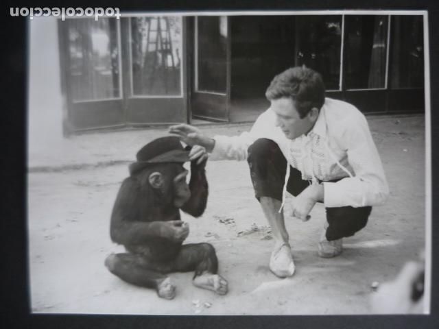 Cine: ALBERT FINNEY ACTOR EN MADRID PELICULA BUSCANDO A PICASSO ANTIGUA FOTOGRAFIA ORIGINAL 18 X 24 CM