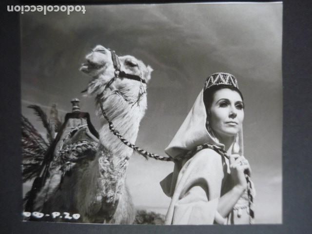 Cine: ANITA HARRIS ACTRIZ ANTIGUA FOTOGRAFIA 18 X 24 CM