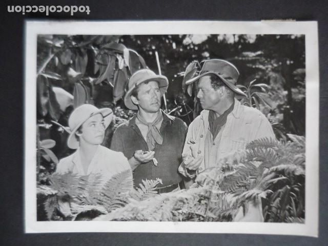 Cine: VAN HEFFLINN ACTOR ANTIGUA FOTOGRAFIA ORIGINAL 12 X 17 CM