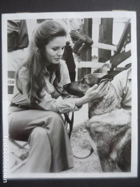 Cinema: TRISH VAN DEVERE ACTRIZ CON PERRO ANTIGUA FOTOGRAFIA ORIGINAL 20 X 26 CM