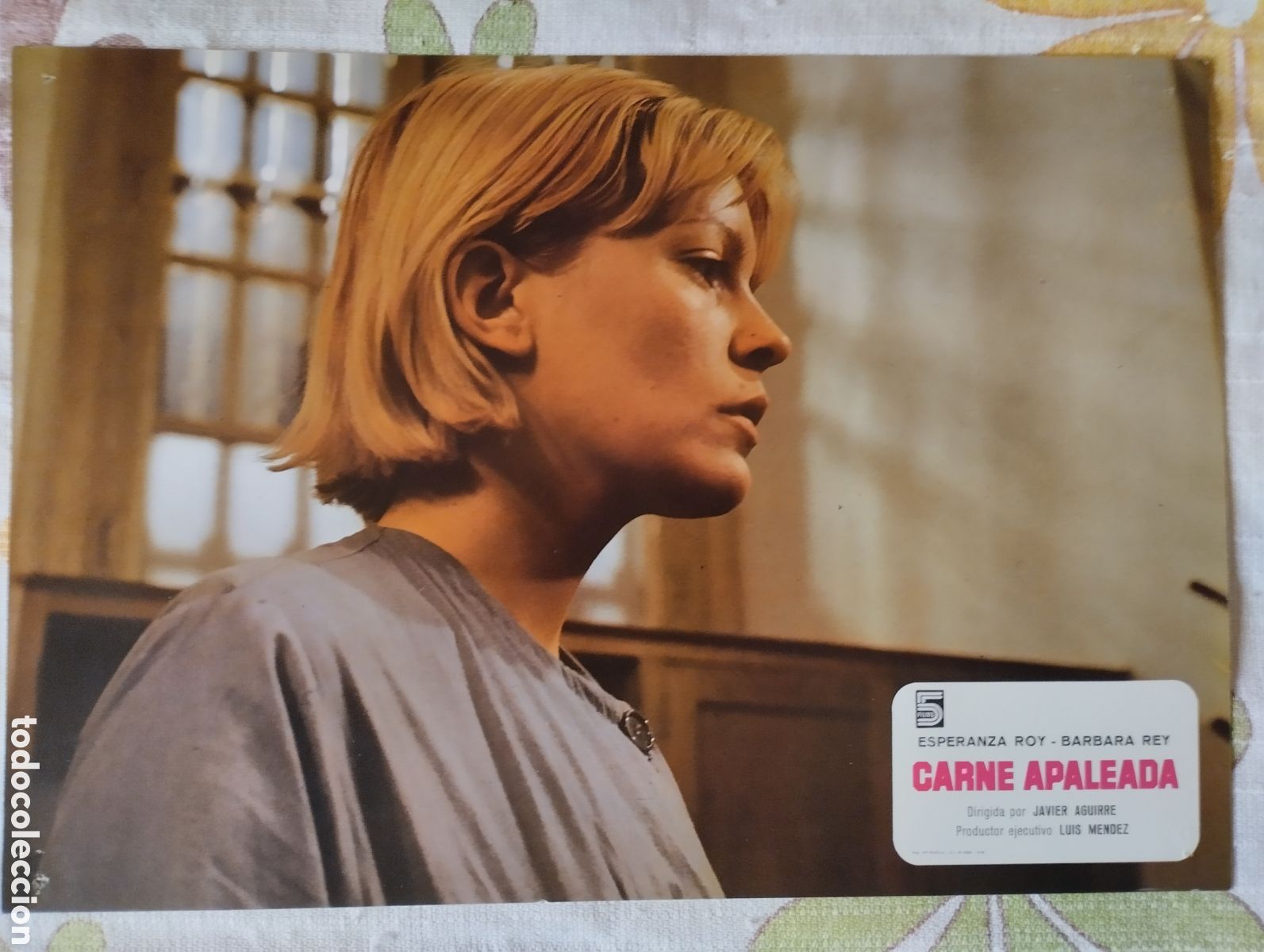 Cine: 9 FOTOCROMOS - CARNE APALEADA - BARBARA REY