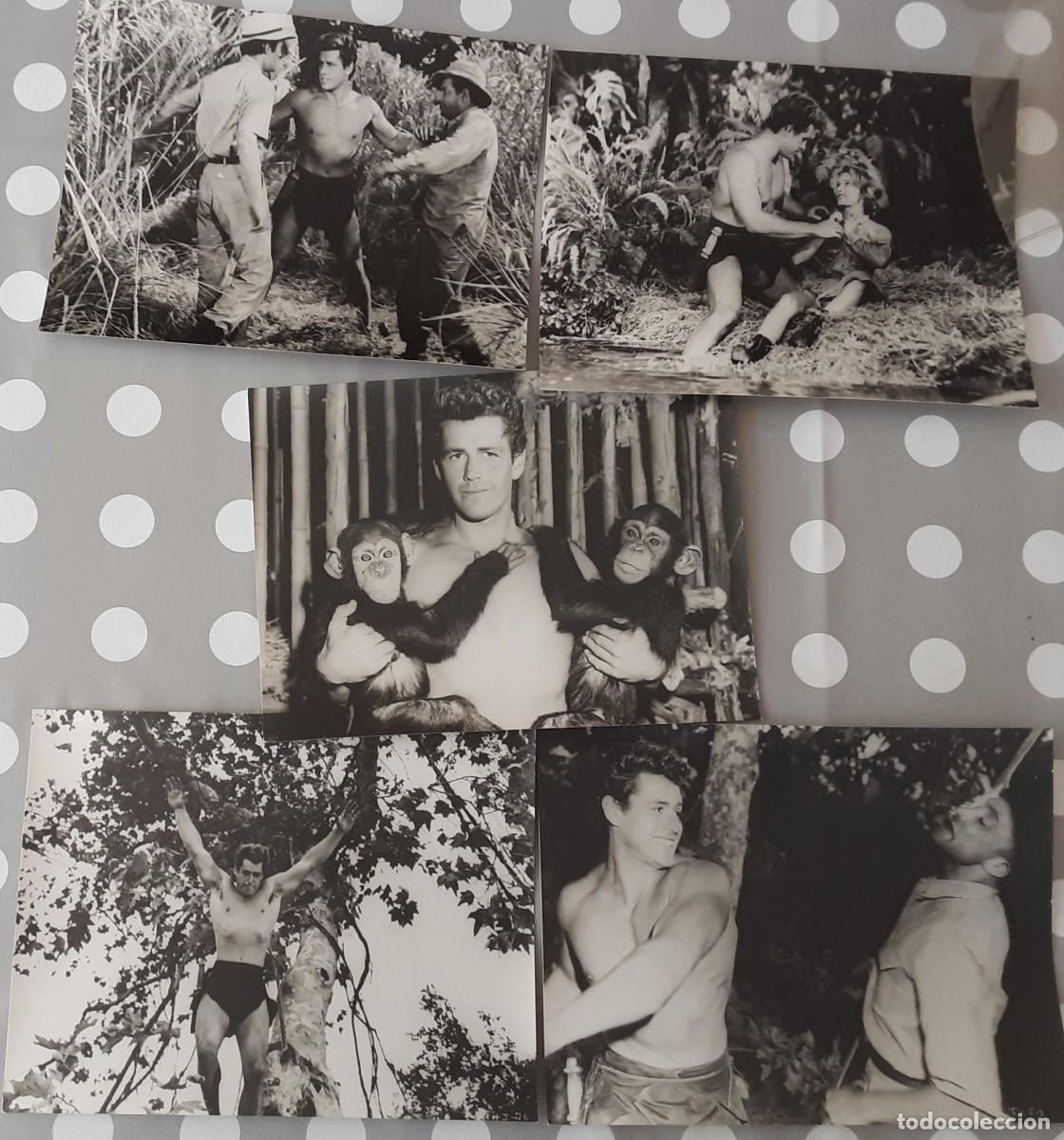 Cinema: Tarz&aacute;n en la selva escondida, lote de cinco fotos de la pel&iacute;cula. Gordon Scott