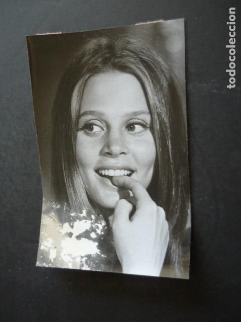 Cin&eacute;ma: LEIGH TAYLOR YOUNG ACTRIZ ANTIGUA FOTOGRAFIA ORIGINAL 18 X 12 CM
