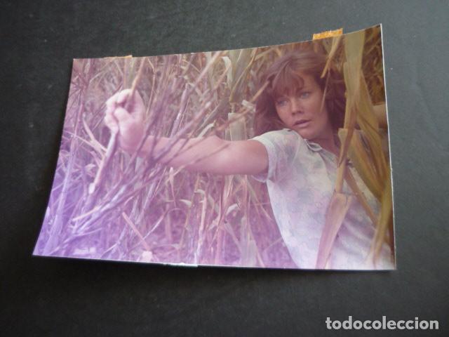 Cinema: SOFIA CASARES ACTRIZ ANTIGUA FOTOGRAFIA ORIGINAL 12 X 18 CM