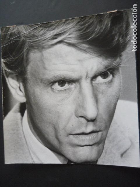 Cin&eacute;ma: EDWARD FOX ACTOR ANTIGUA FOTOGRAFIA ORIGINAL 26 X 24 CM
