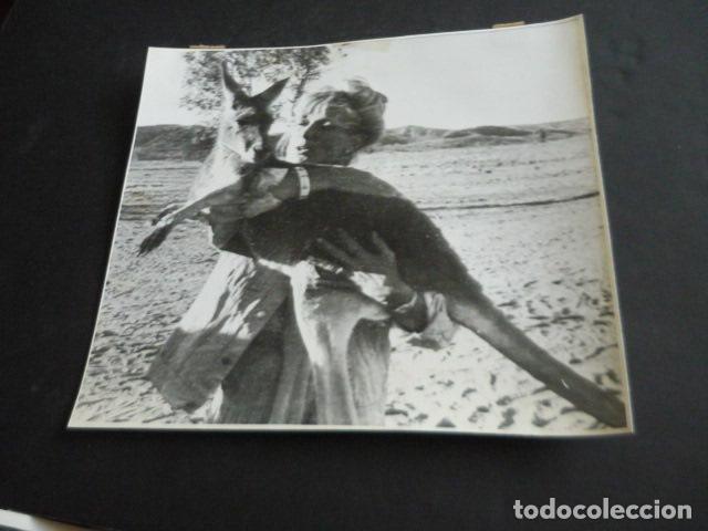 Kino: LINDA EVANS ACTRIZ ANTIGUA FOTOGRAFIA 24 X 18 CM