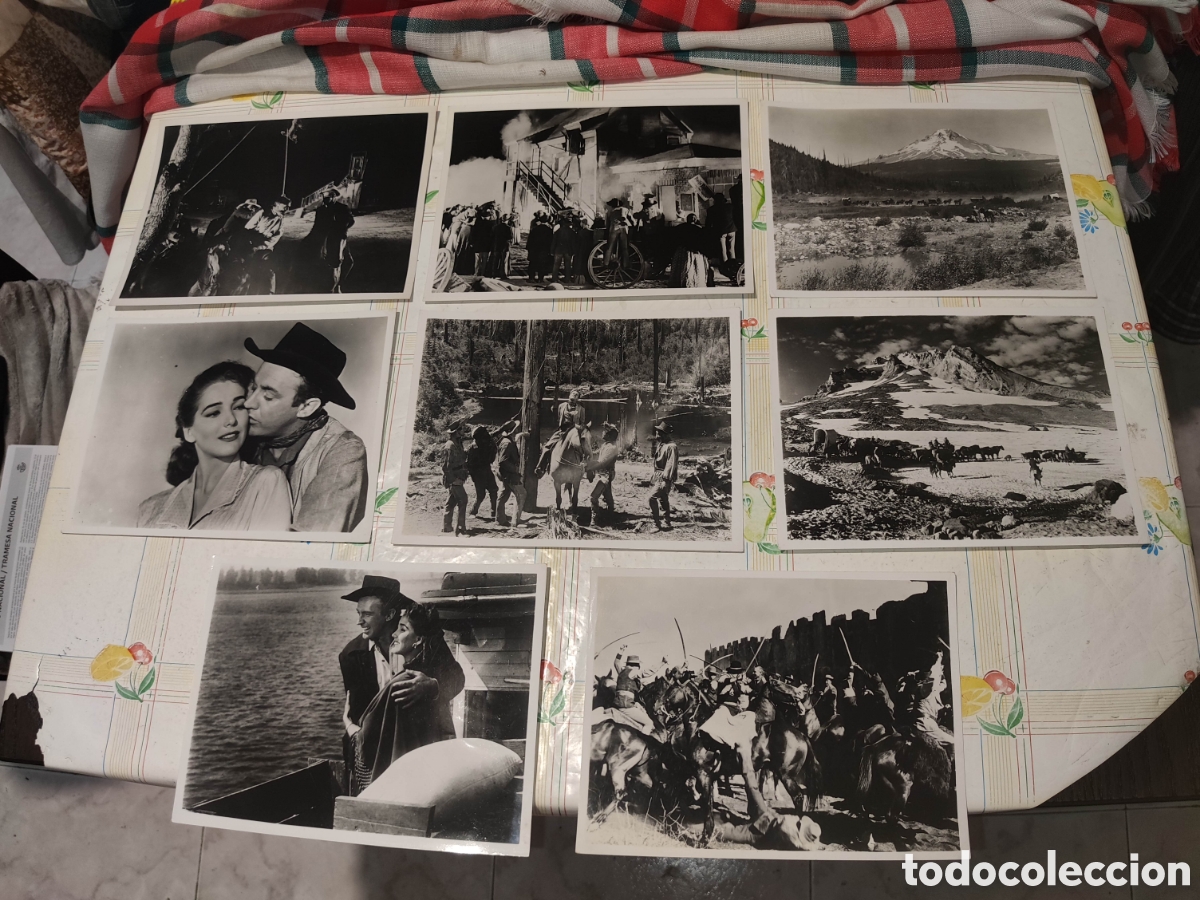 Kino: Lote 8 Fotos - Original de distribuidora - Western - Oeste - A&ntilde;os 50