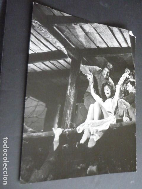 Cine: PELICULA EL HOMBRE DE LA MANCHA PETER O&acute;TOOLE Y SOFIA LOREN ANTIGUA FOTOGRAFIA ORIGINAL 20 X 26 CM