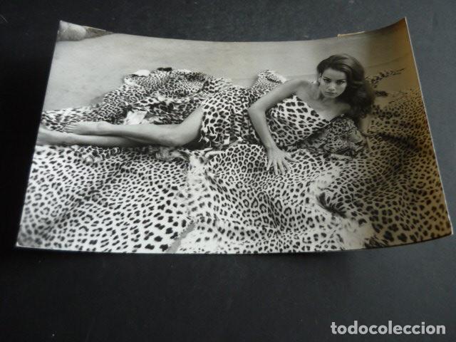Cinema: CLAUDINE AUGER ACTRIZ ANTIGUA FOTOGRAFIA ORIGINAL 24 X 18 CM