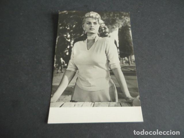 Cin&eacute;ma: SOFIA LOREN ACTRIZ POSTAL