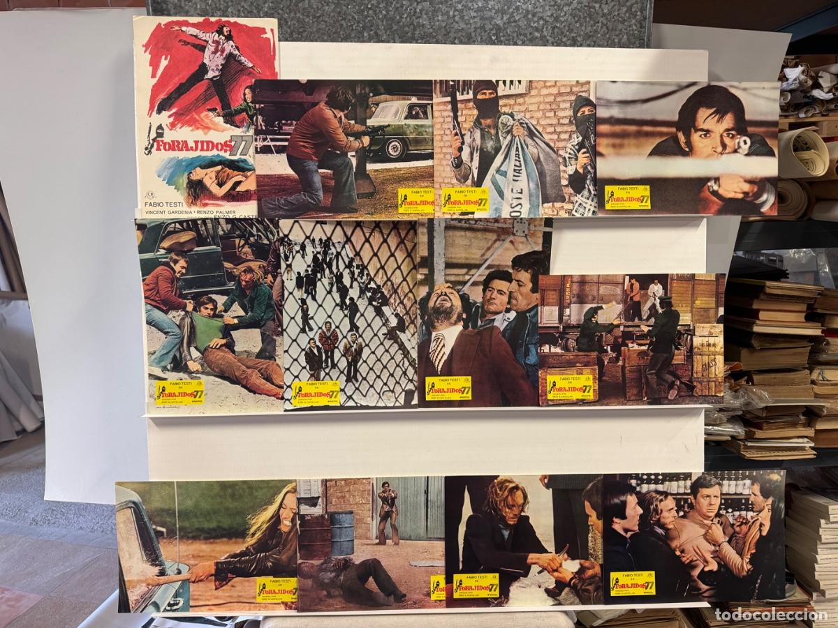 Cine: Forajidos 77, Fabio Testi, Vincent Gardenia, 12 Fotocromos