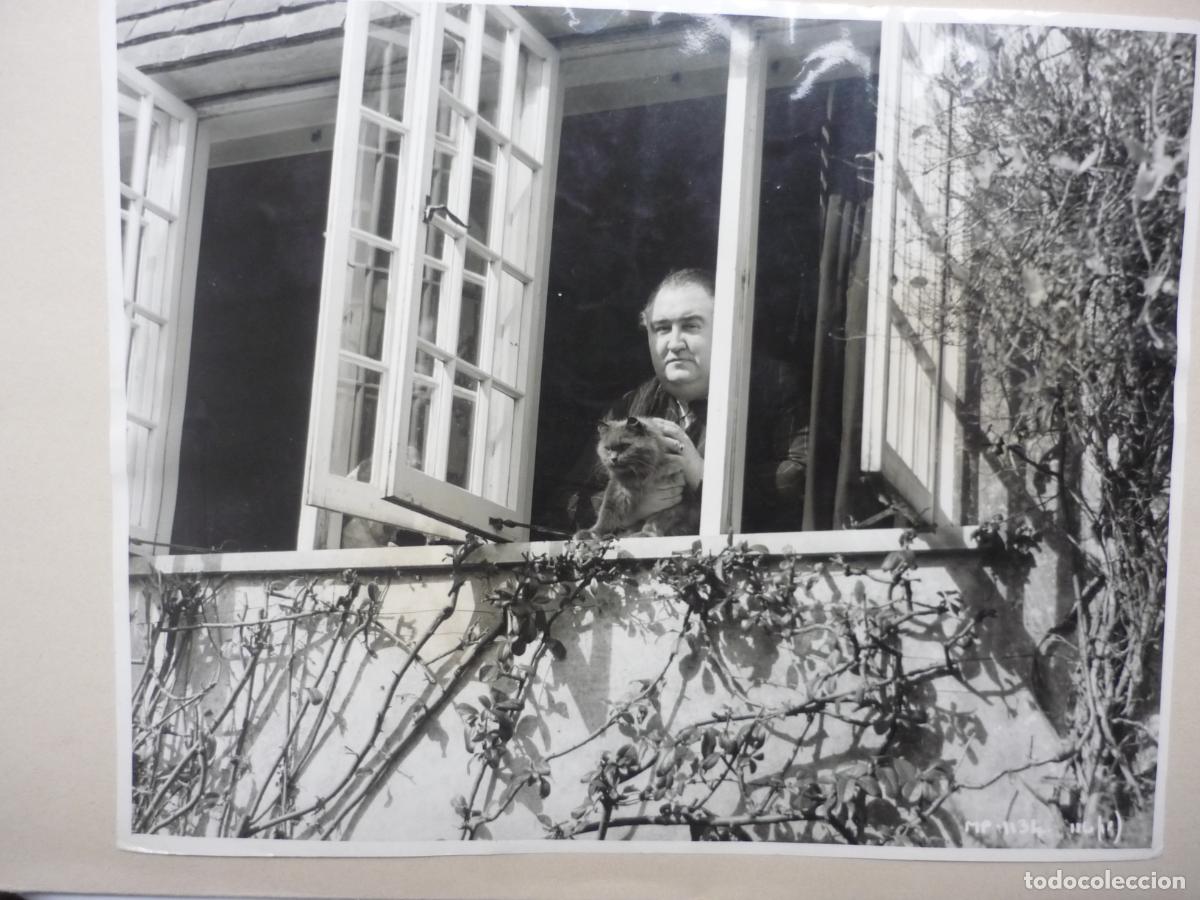 Cine: FRANCIS L. SULLIVAN - FOTO ORIGINAL B/N - WITH CAT GATO CHAT