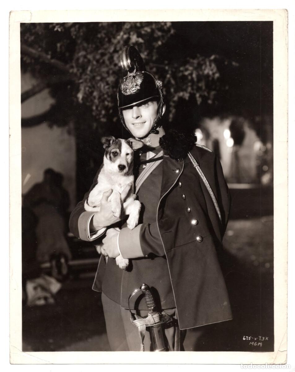 Cine: METRO-GOLDWYN-MAYER PERRO VAGABUNDO ADOPTADO POR EL ACTOR PHILLIPS HOLMES. 27X21