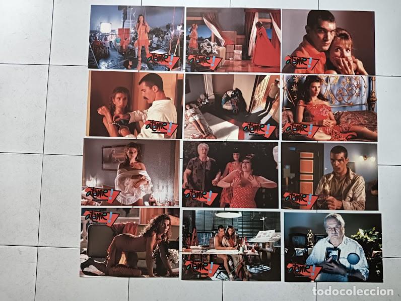 Cinema: SJC 0005 ATAME PEDRO ALMODOVAR BANDERAS ABRIL SET COMPLETO 12 FOTOCROMOS ORIGINAL ESTRENO