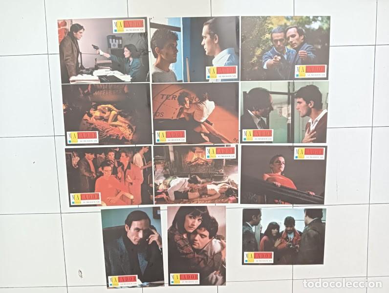 Cine: SJC 0029 MATADOR PEDRO ALMODOVAR ANTONIO BANDERAS SET COMPLETO 12 FOTOCROMOS ORIGINAL ESTRENO