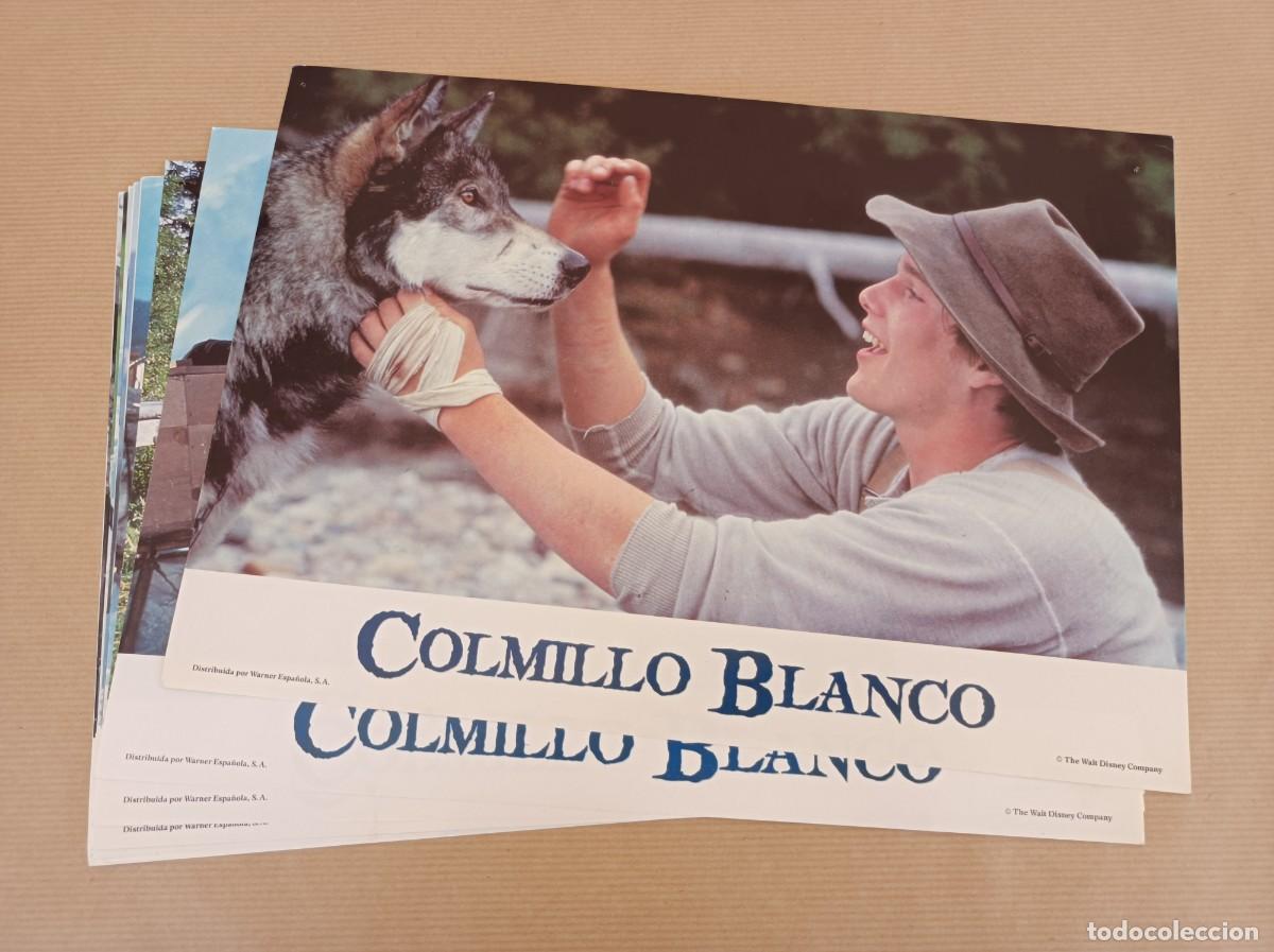 Cine: 11 FOTOCROMOS COLMILLO BLANCO SERIE INCOMPLETA