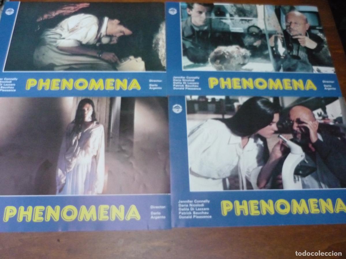 Cine: phenomena 12 fotocromos + guia publicitaria + 2 postales originales dario argento jennifer connelly