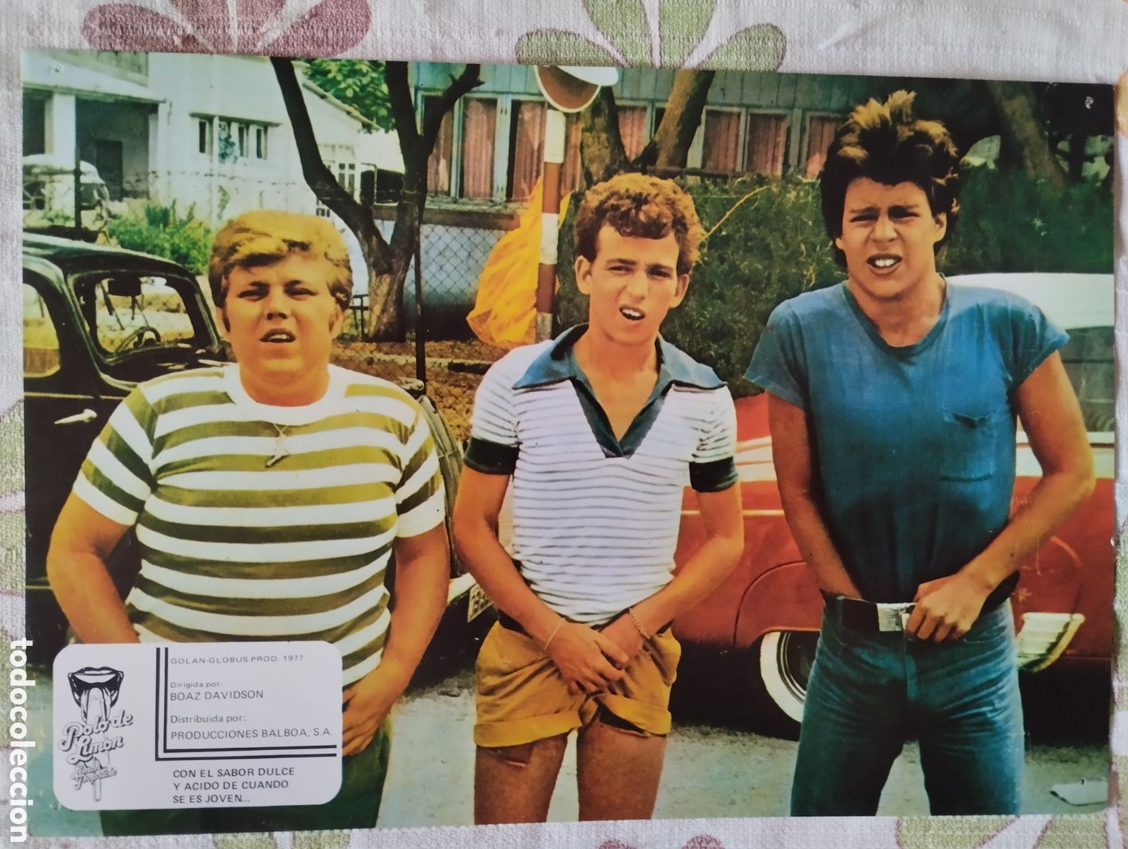 Cine: 11 FOTOCROMOS - POLO DE LIMON