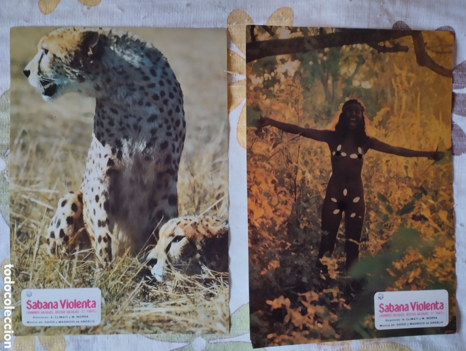 Cine: 10 FOTOCROMOS - SABANA VIOLENTA