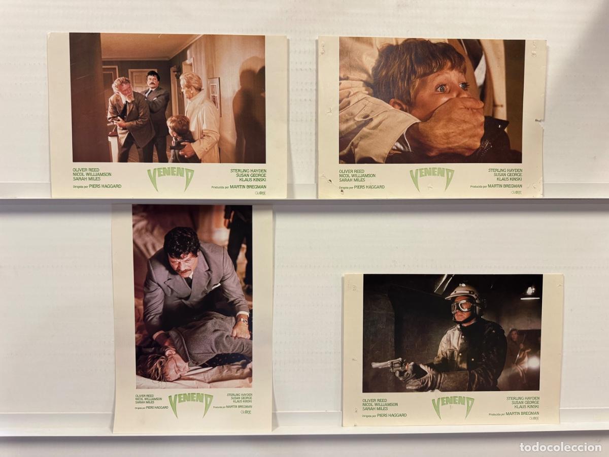 Cine: Veneno, Oliver Reed, Sarah Miles, 4 FOTOCROMOS