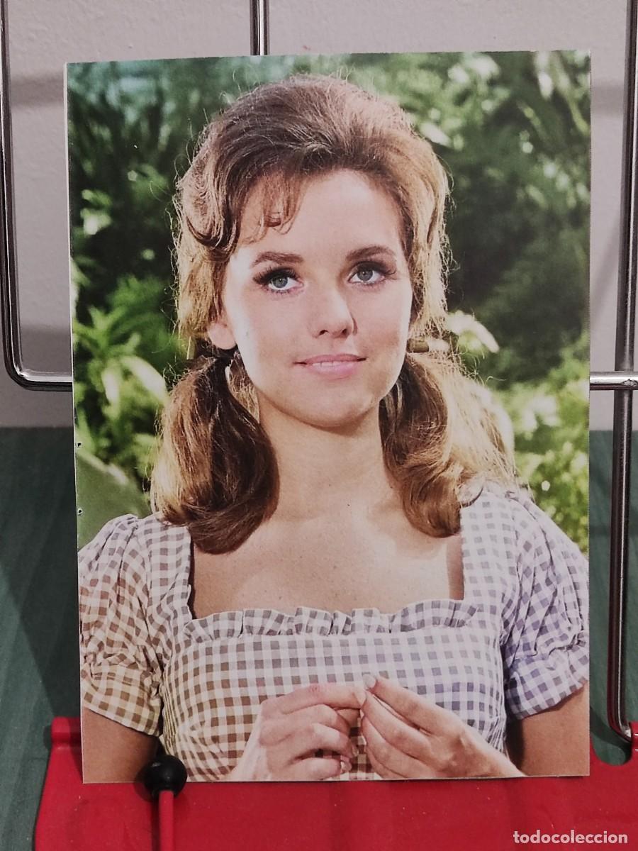 Cine: Dawn Wells . Ficha revista Accion cine