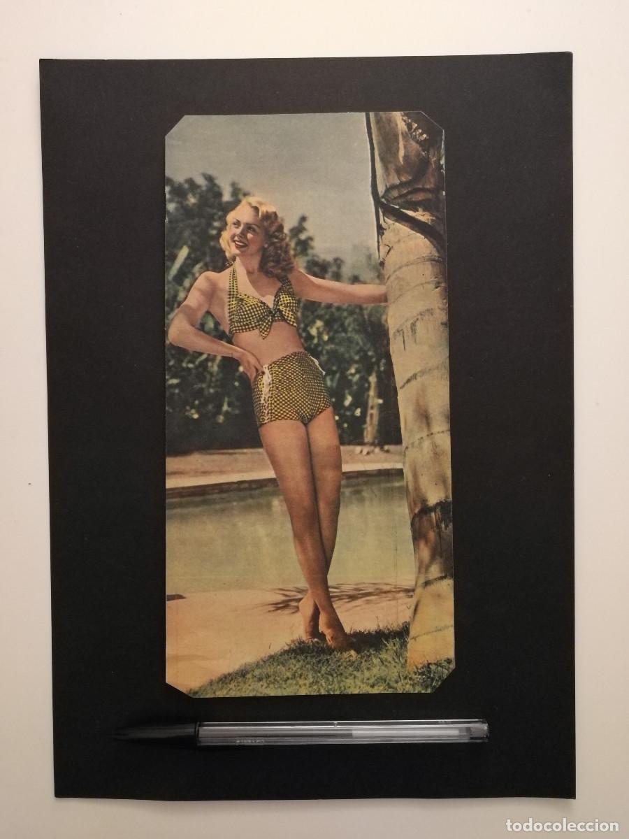 Cine: ANTIGUA LAMINA ACARTONADA - Leslie Brooks