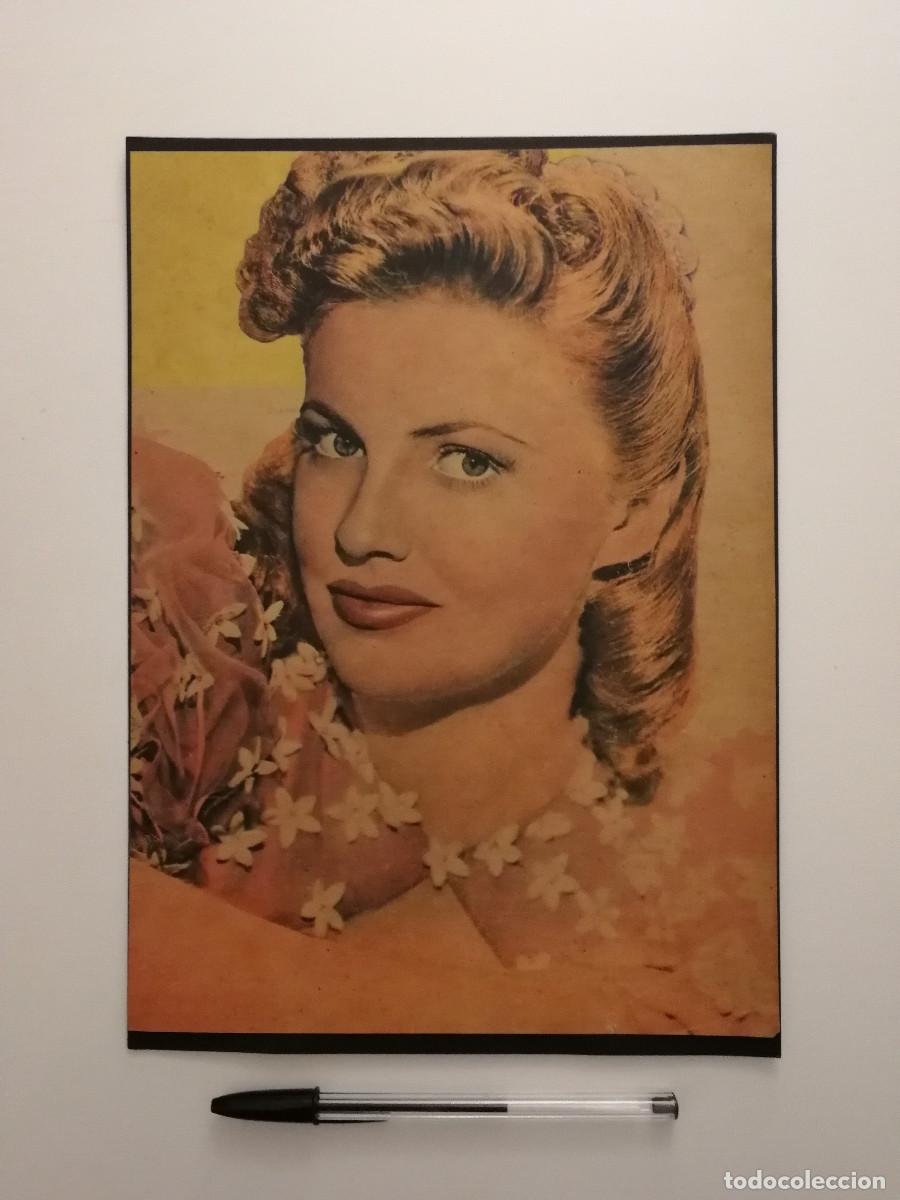 Cine: ANTIGUA LAMINA ACARTONADA -A4- JOAN LESLIE