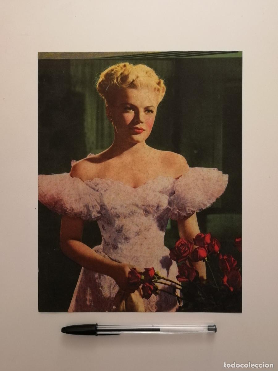 Cine: ANTIGUA LAMINA ACARTONADA -A4- June Haver