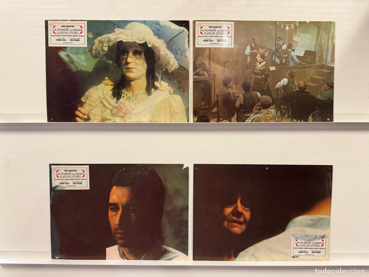 Cine: Un hombre llamado flor de oto&ntilde;o, Jose Sacristan, Francisco Algora, 4 FOTOCROMOS