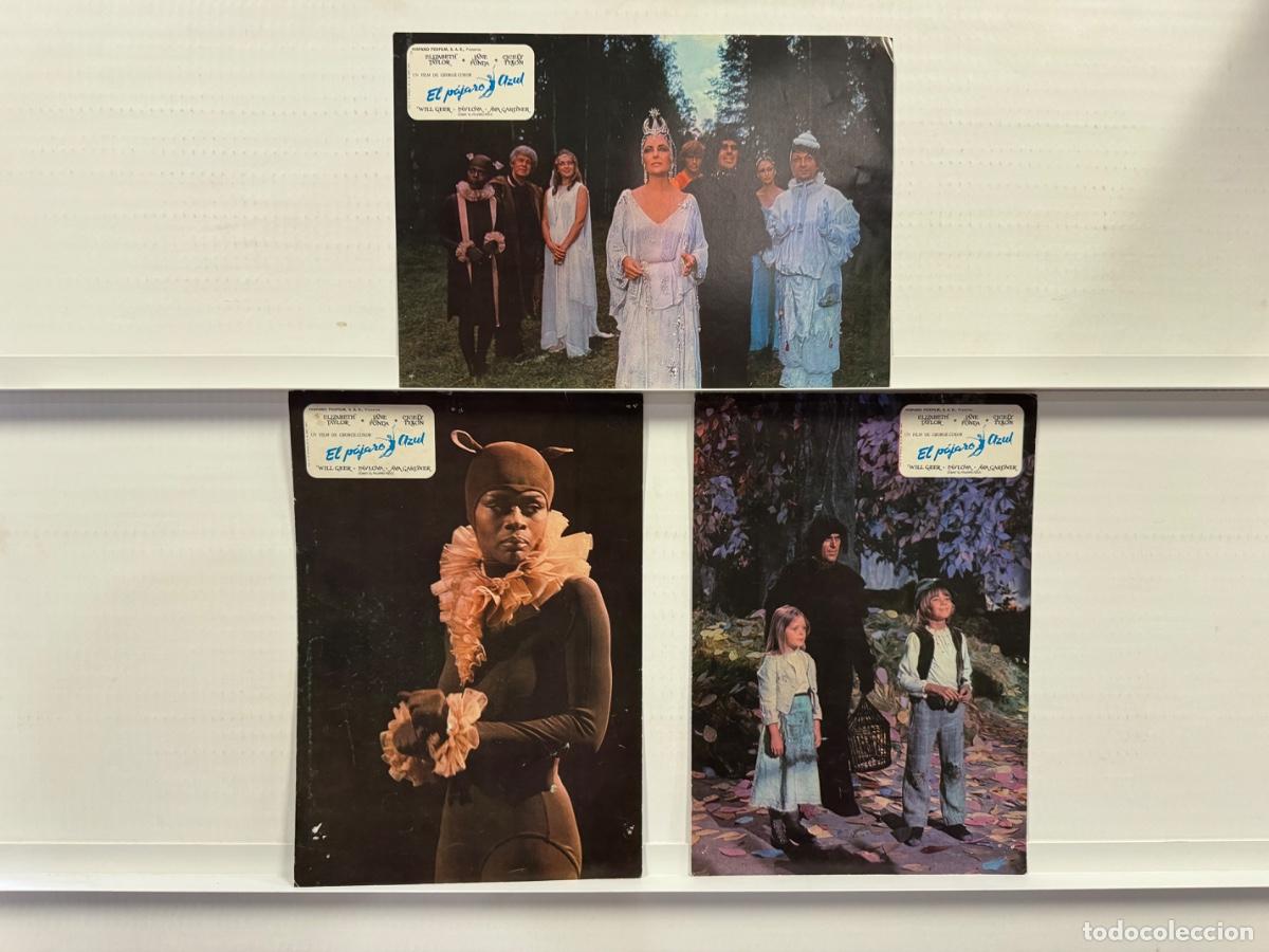 Cine: El pajaro azul, Elizabeth Taylor, Jane Fonda, 3 FOTOCROMOS