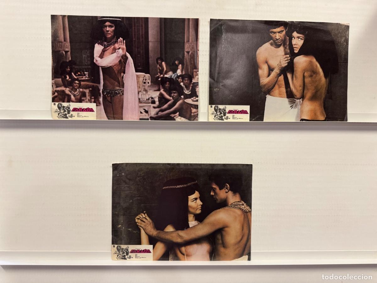 Cine: Faraon, Jerzy Zelnik, Barbara Brylska, 3 FOTOCROMOS