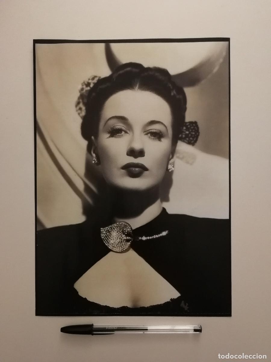 Cine: FICHA COLECCIONABLE -A4- Patricia Morison