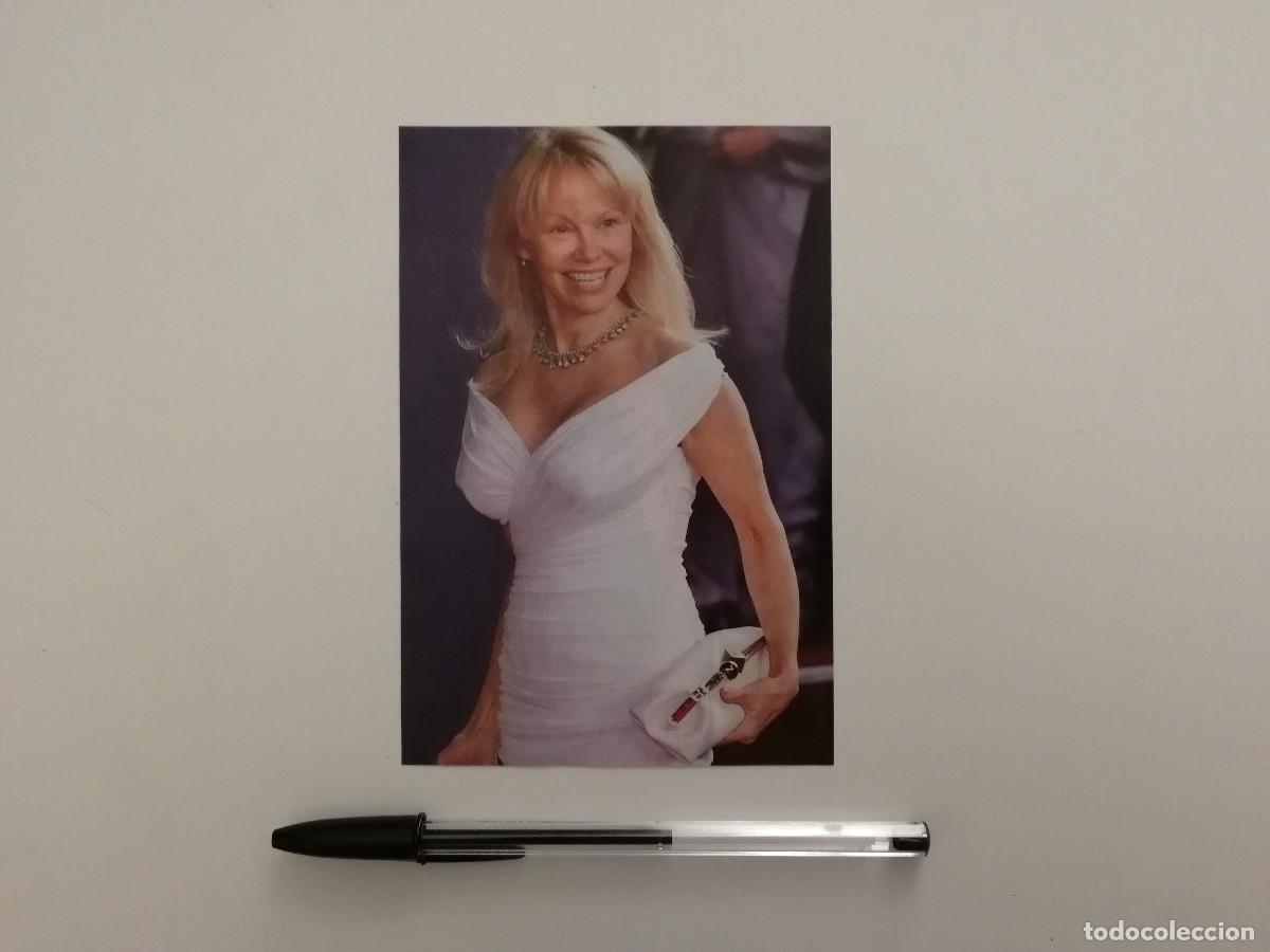 Cine: TARJETA ACARTONADA -10*15- Pamela Anderson