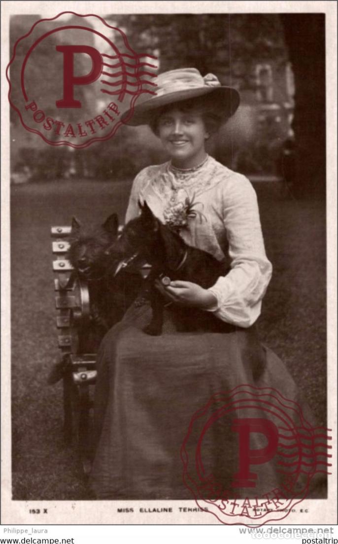 Kino: MISS ELLALINE TERRISS