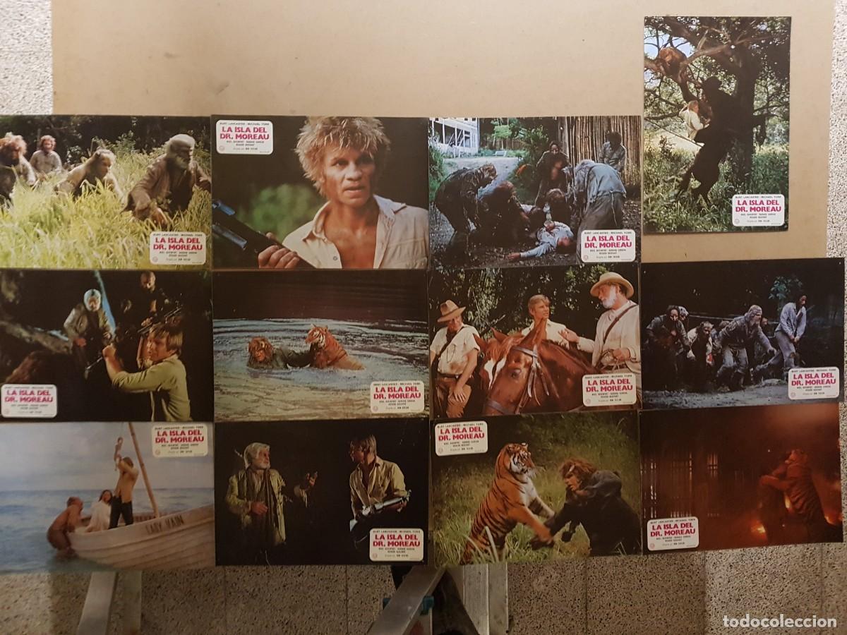 Cine: LA ISLA DEL DR. MOREAU - MARLON BRANDO - 12 FOTOCROMOS 34CMX24CM