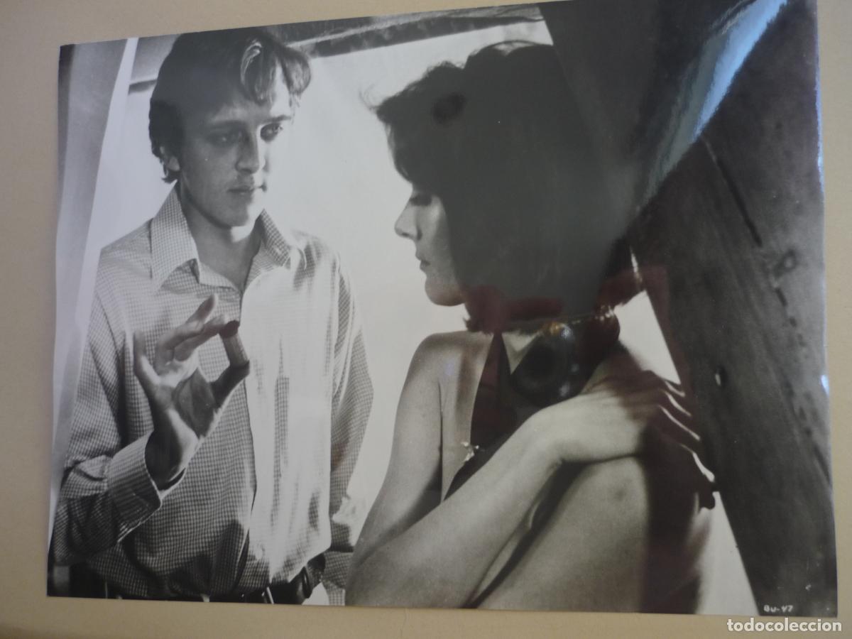 Cine: blow up - foto original b/n - david hemmings vanessa redgrave - Michelangelo Antonioni