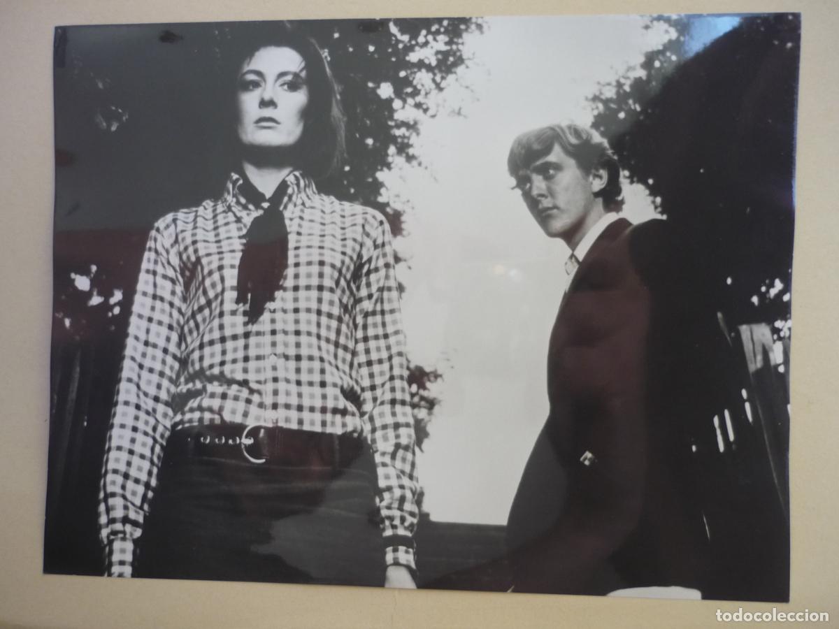 Cine: blow up - foto original b/n - david hemmings vanessa redgrave - Michelangelo Antonioni