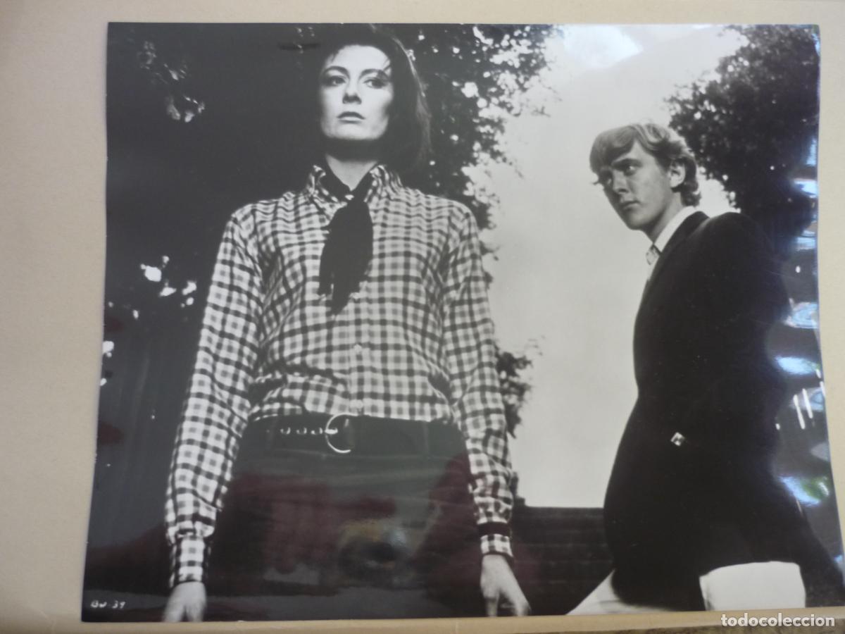 Cine: blow up - foto original b/n - david hemmings vanessa redgrave- Michelangelo Antonioni