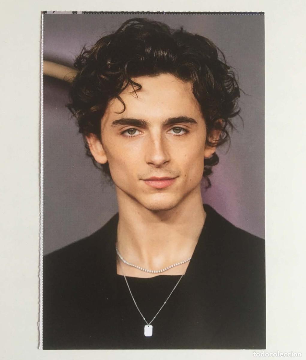 Kino: Timoth&eacute;e Chalamet Collectible Card Dream'up Magazine France 2024 Movie