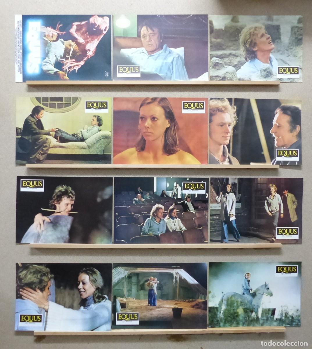 Cine: EQUUS, Richard Burton, Peter Firth, Colin Blakely, 1977 - SET COMPLETO 12 FOTOCROMOS
