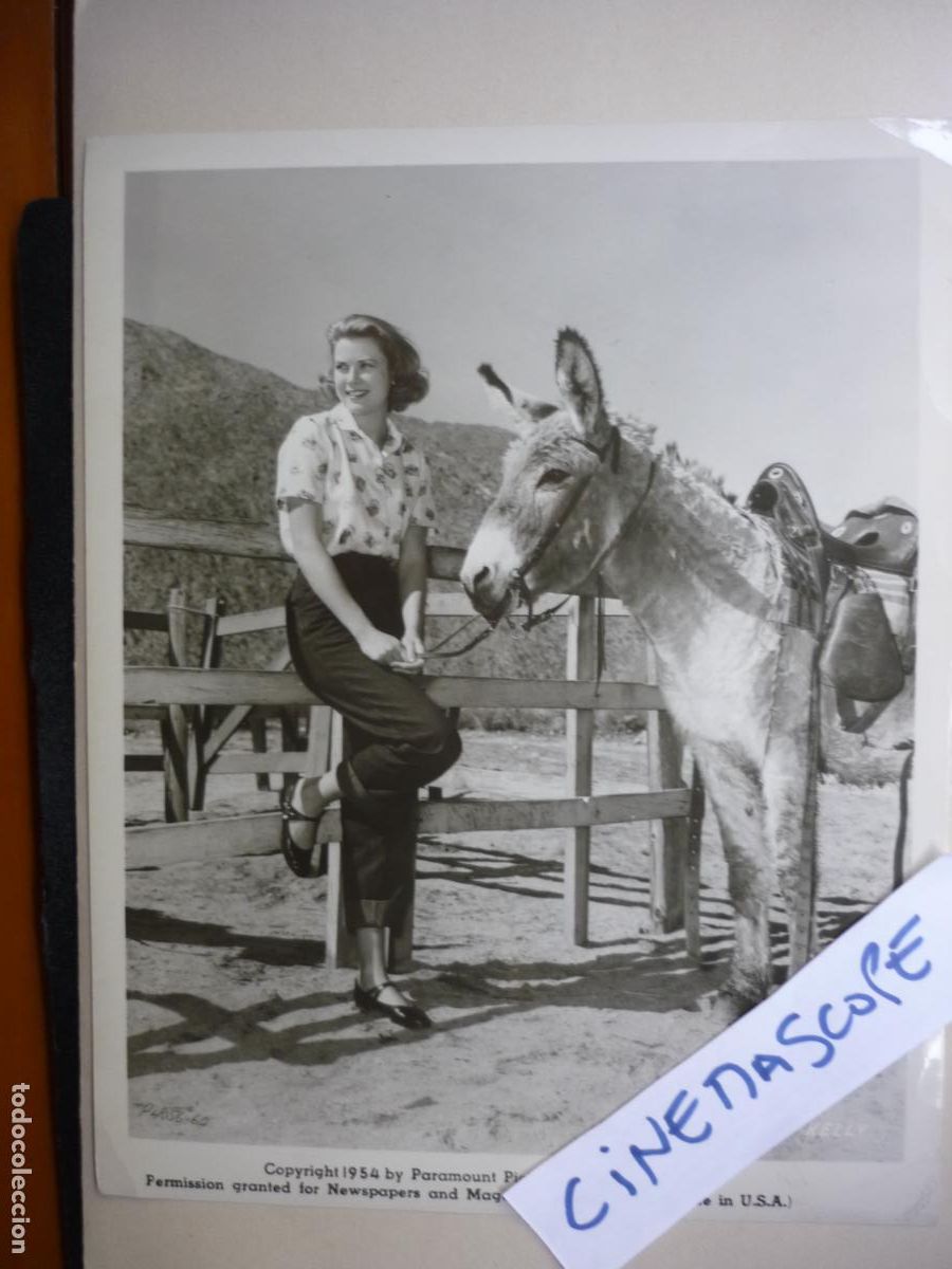 Cine: grace kelly - foto original b/n - paramount pictures - with donkey