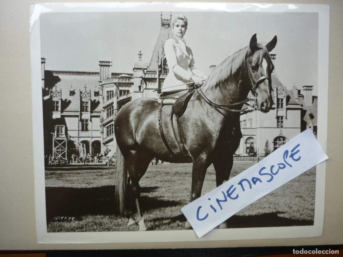 Cine: grace kelly - foto original b/n - the swan el cisne with horse caballo