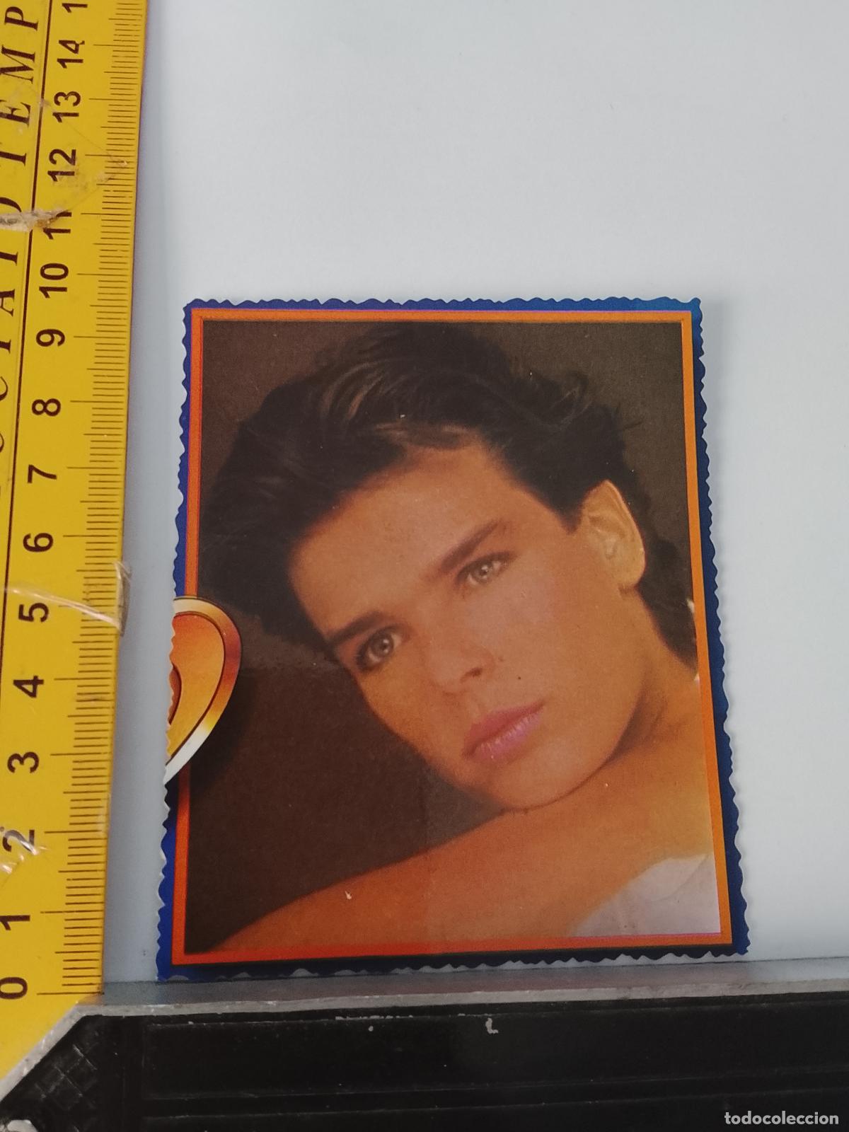 Cine: CARTON TROQUELADO TIPO CROMO - FOTO ARTISTA CANTANTE Stephanie