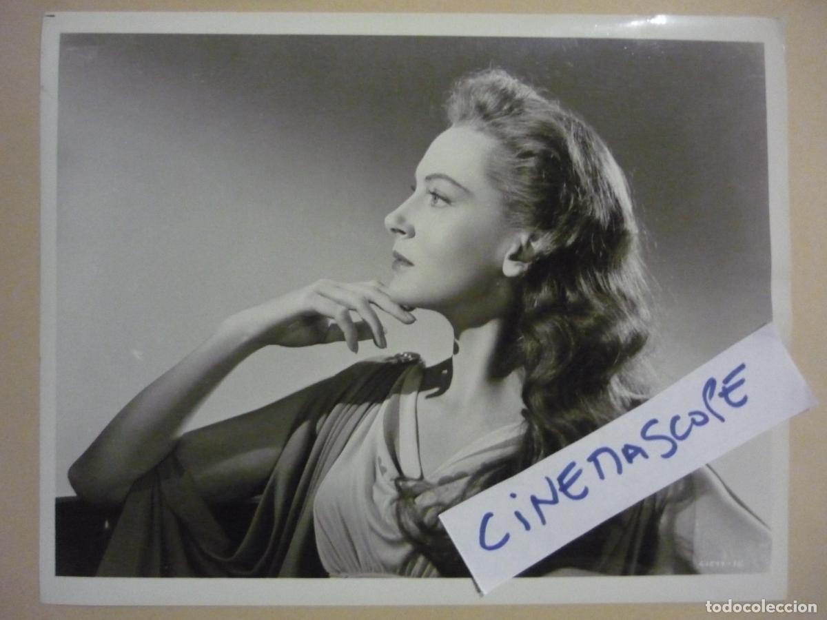 Cine: deborah kerr - foto original b/n - julius caesar julio cesar