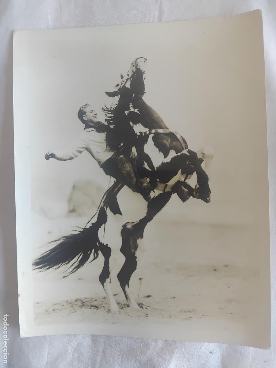Cine: NELSON EDDY CON SU CABALLO PALOMINO. METRO GOLDWIN MAYER. 18 X 25 CM.