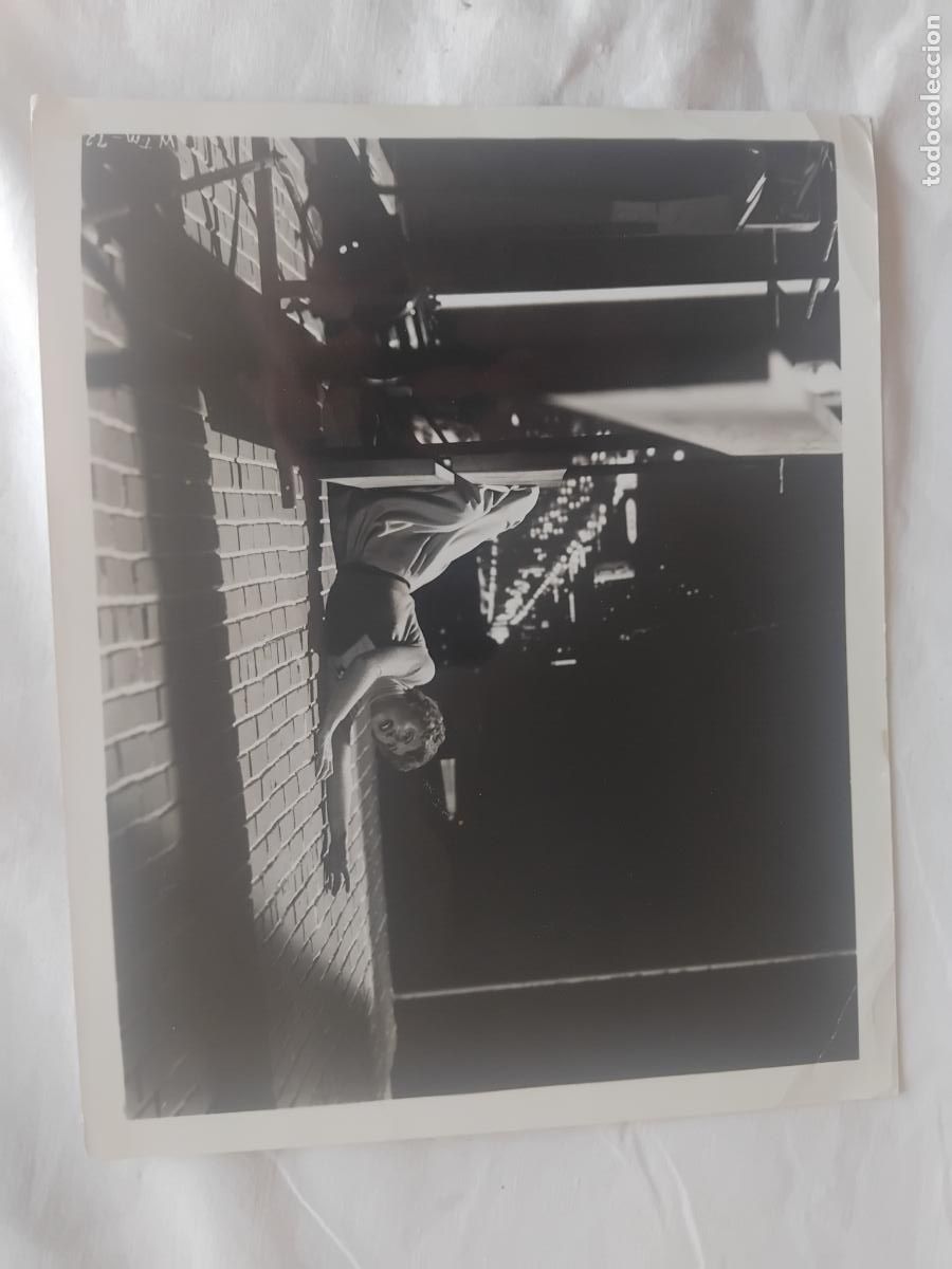 Cine: FOTOGRAFIA DE BARBARA STAMWICK EN EL UNICO TESTIGO.. 21 X 25,50 CM