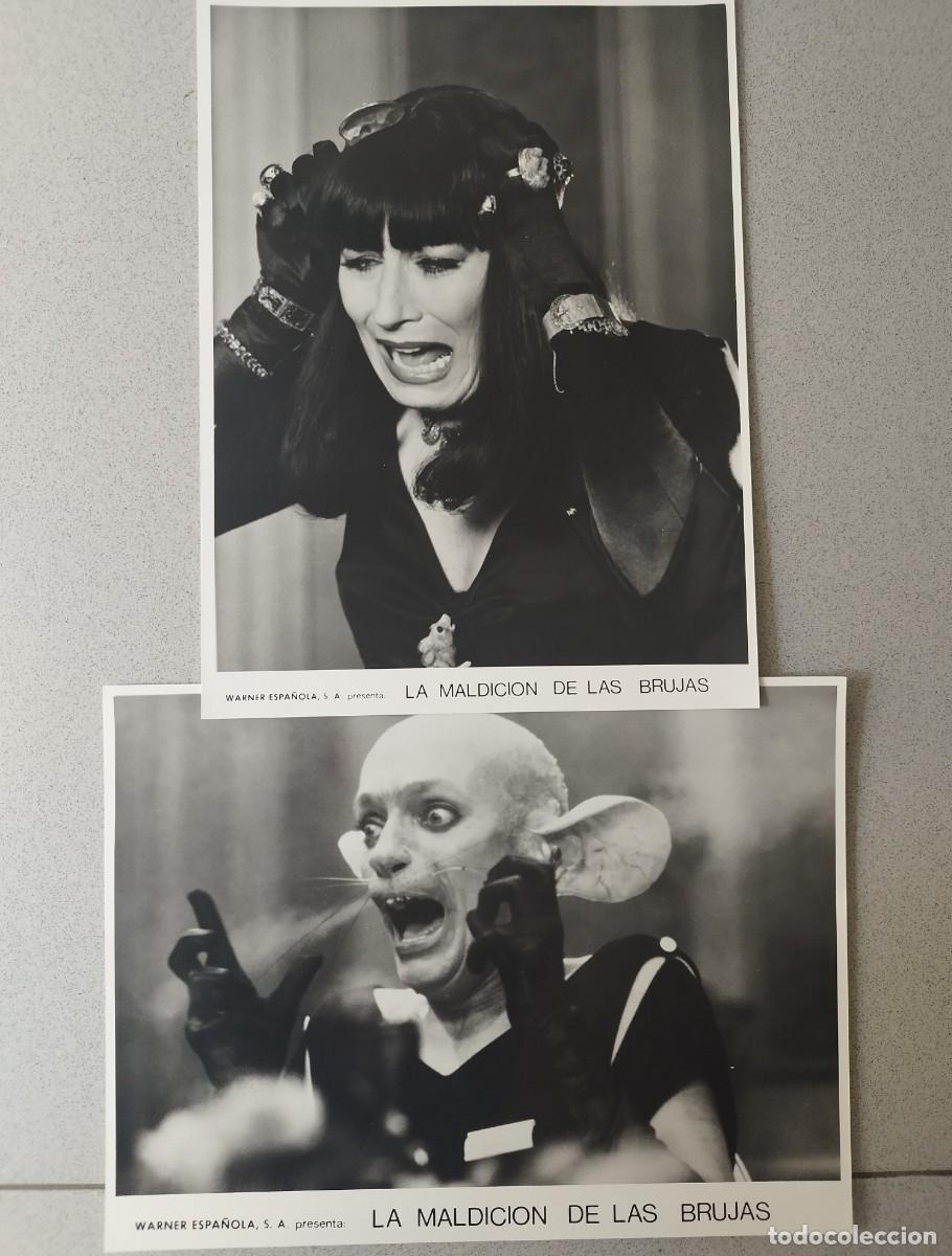 Cine: La Maldici&oacute;n de las Brujas 1990 Lote 2 Fotos Originales Prensa Warner - Anjelica Huston / Jim Henson