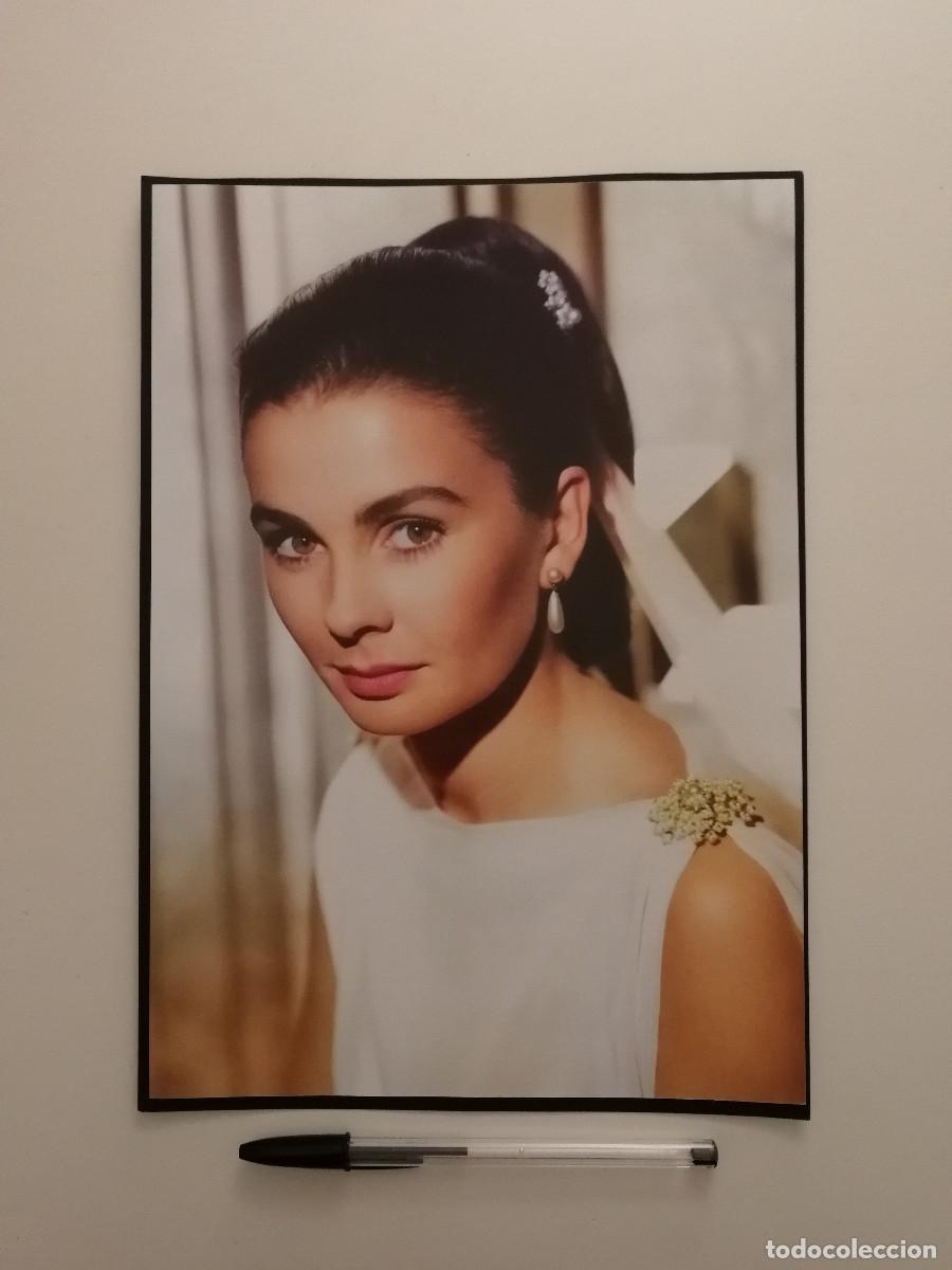Cine: LAMINA ACARTONADA -A4- Jean Simmons