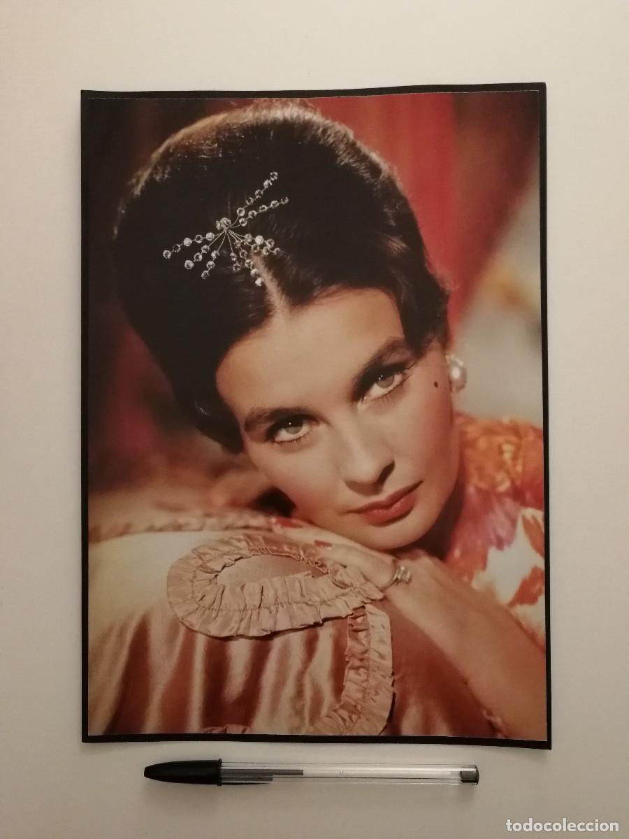 Cine: LAMINA ACARTONADA -A4- Jean Simmons