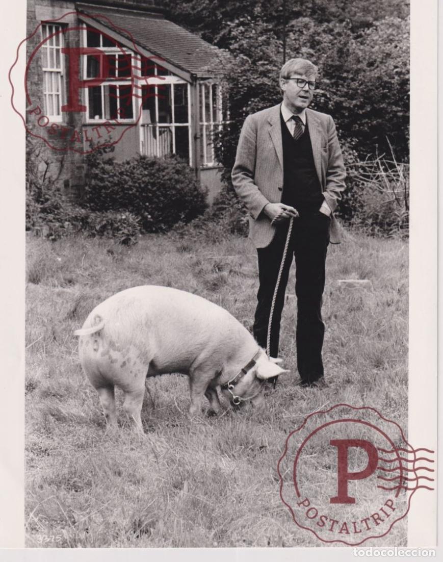 Kino: A PRIVATE FUNCTION. ALAN BENNET. CINE CINEMA. ACTOR ACTRESS ACTRIZ +-23.5x17.5CM